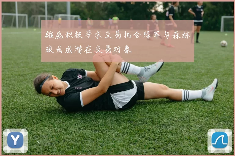 雄鹿积极寻求交易机会绿军与森林狼或成潜在交易对象